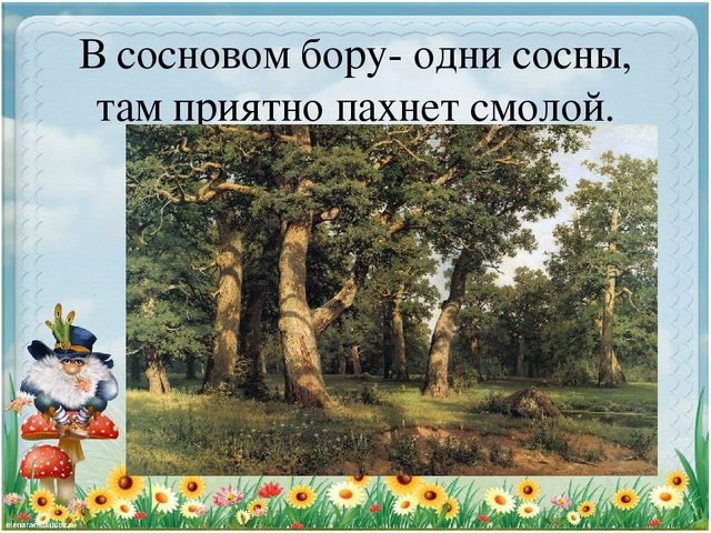 Презентация по экологии "Старичек лесовичек приглашает детей в свой лес" (Дошкольное образование)