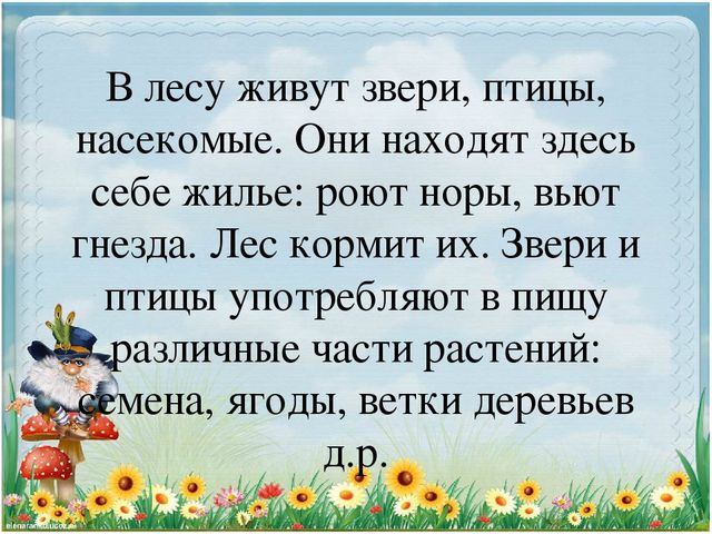 Презентация по экологии "Старичек лесовичек приглашает детей в свой лес" (Дошкольное образование)
