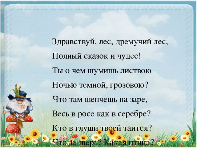 Презентация по экологии "Старичек лесовичек приглашает детей в свой лес" (Дошкольное образование)