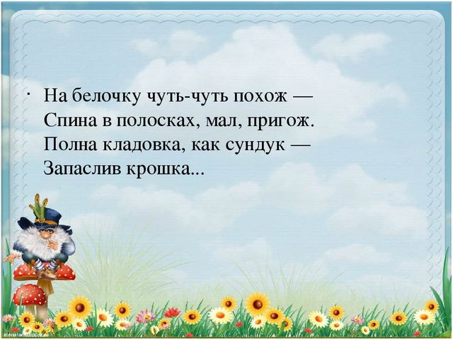 Презентация по экологии "Старичек лесовичек приглашает детей в свой лес" (Дошкольное образование)