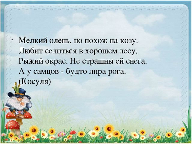 Презентация по экологии "Старичек лесовичек приглашает детей в свой лес" (Дошкольное образование)