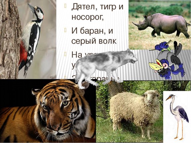 Презентация по развитию речи для школы дошкольника.Занятие 4. Тема: буквы Н, Д, Т, Б, В. (По Р.М. Хамидуллиной)