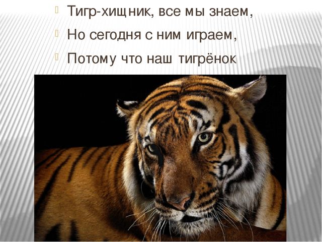 Презентация по развитию речи для школы дошкольника.Занятие 4. Тема: буквы Н, Д, Т, Б, В. (По Р.М. Хамидуллиной)