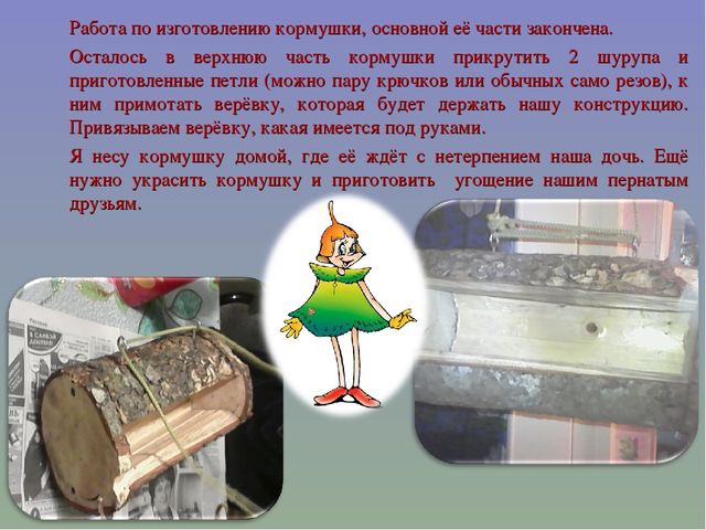 Презентация мастер-класс "Изготовление кормушки" на тему: "Птичья столовая"