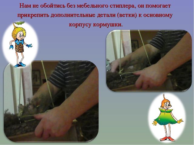 Презентация мастер-класс "Изготовление кормушки" на тему: "Птичья столовая"
