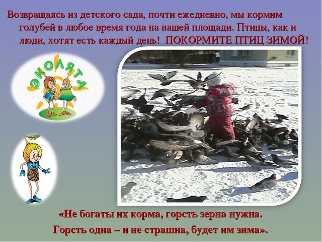 Презентация мастер-класс "Изготовление кормушки" на тему: "Птичья столовая"