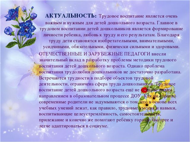 Воспитательный проект "Труд и терпение - превращаются в умение"