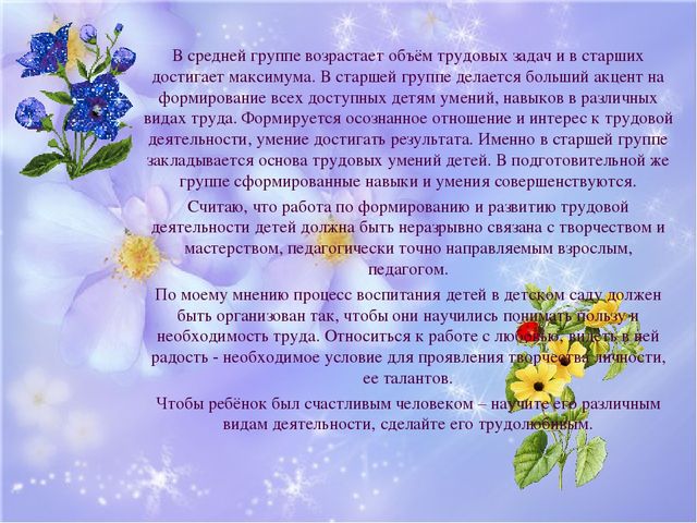 Воспитательный проект "Труд и терпение - превращаются в умение"