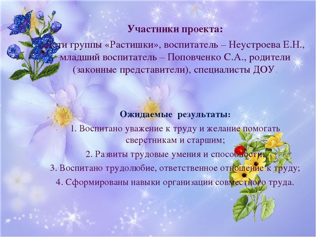 Воспитательный проект "Труд и терпение - превращаются в умение"
