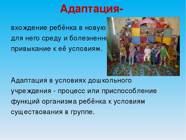 Презентация "Организация, адаптация ребенка в детском саду"