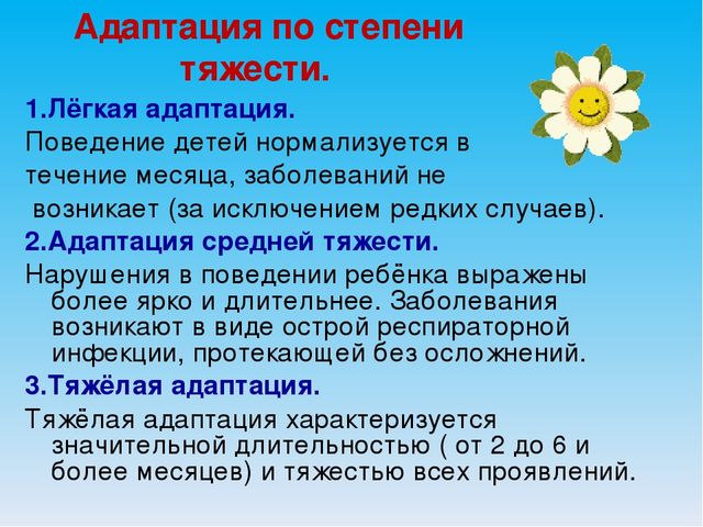 Презентация "Организация, адаптация ребенка в детском саду"