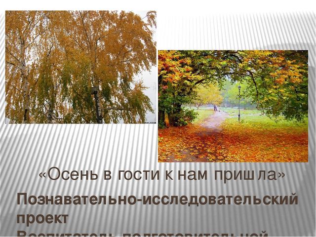 Познавательно-исследовательский проект «Осень в гости к нам пришла»
