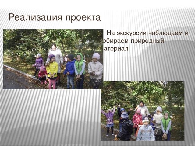 Познавательно-исследовательский проект «Осень в гости к нам пришла»