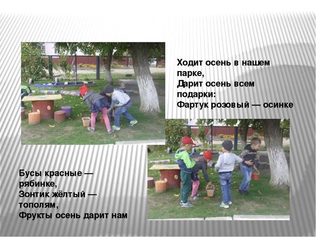 Познавательно-исследовательский проект «Осень в гости к нам пришла»