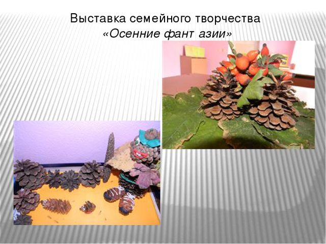 Познавательно-исследовательский проект «Осень в гости к нам пришла»