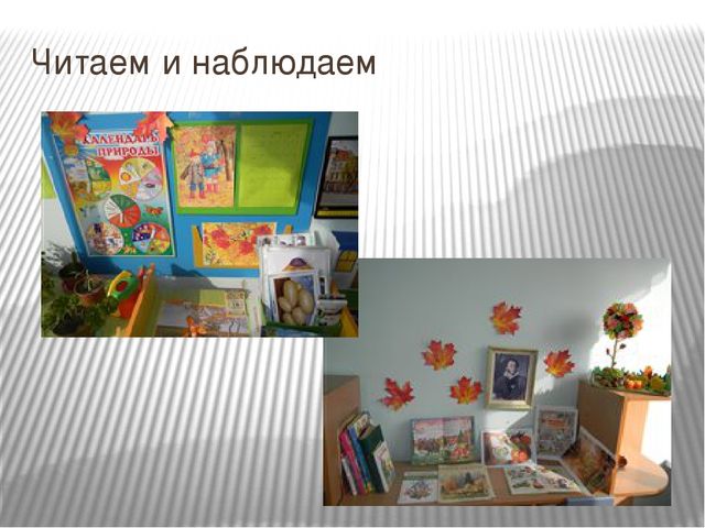 Познавательно-исследовательский проект «Осень в гости к нам пришла»
