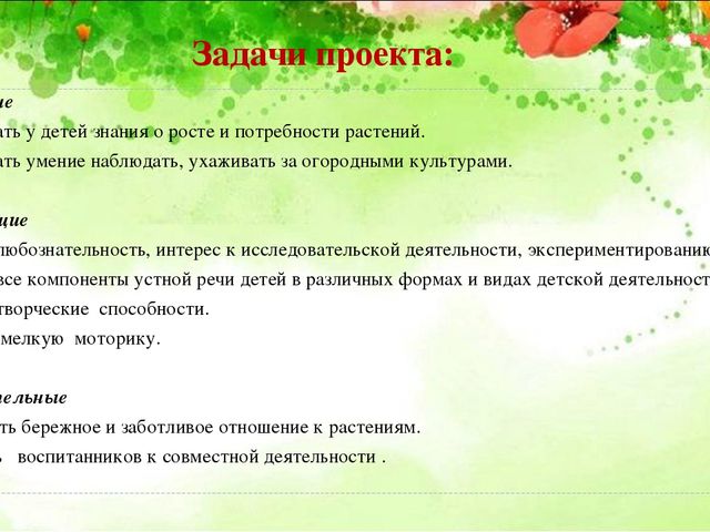 Проект «Чудо-огород на подоконнике» для детей первой младшей группы