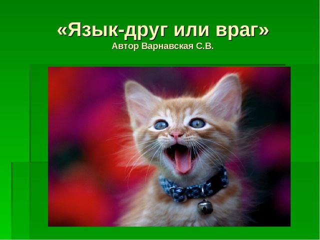 Презентация для занятий по познанию на тему "Языки" подготовительная к школе группы
