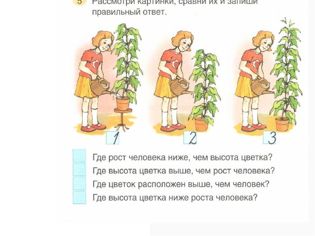 Презентация по математике для дошколят