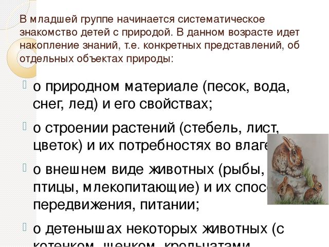 Презентация на тему "Детский сад. (младшая группа)"