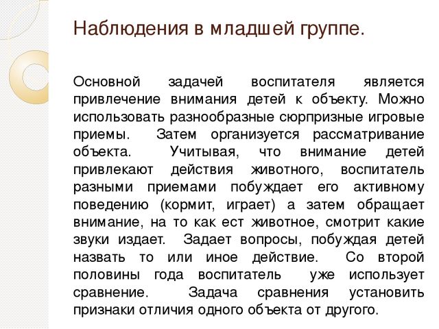 Презентация на тему "Детский сад. (младшая группа)"