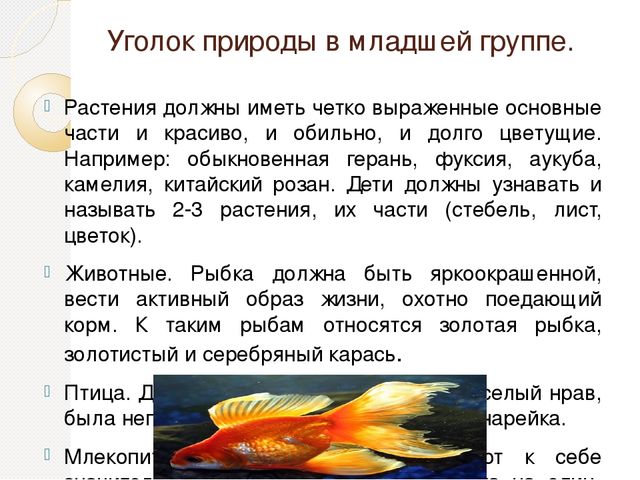Презентация на тему "Детский сад. (младшая группа)"