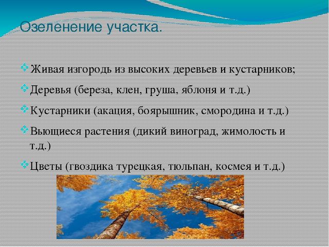 Презентация на тему "Участок для детского сада во всех возрастных группах"