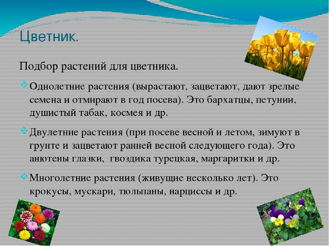 Презентация на тему "Участок для детского сада во всех возрастных группах"