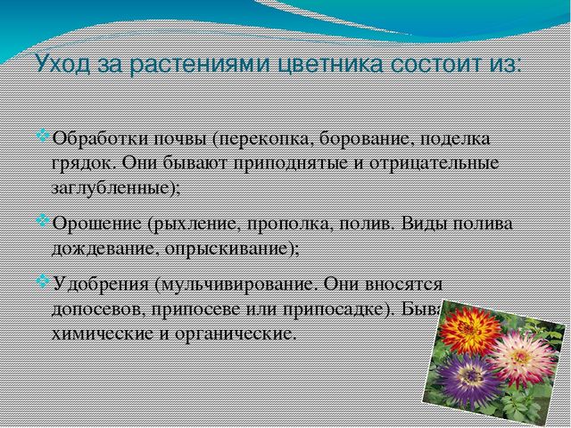 Презентация на тему "Участок для детского сада во всех возрастных группах"