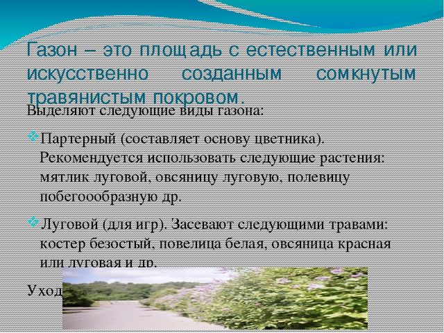 Презентация на тему "Участок для детского сада во всех возрастных группах"