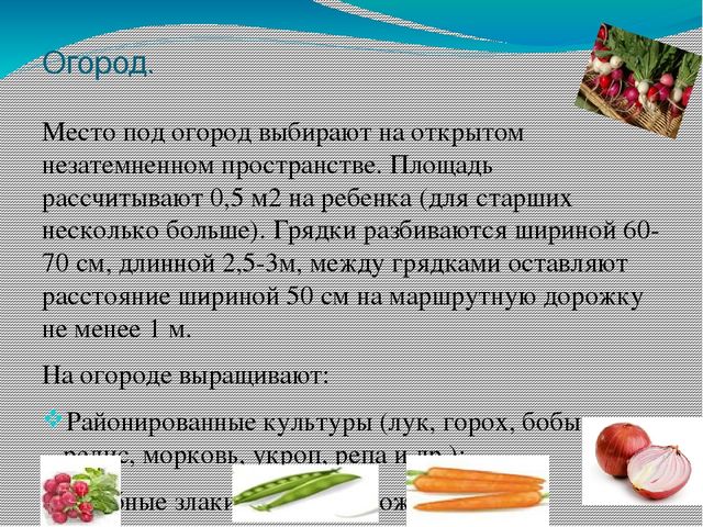 Презентация на тему "Участок для детского сада во всех возрастных группах"