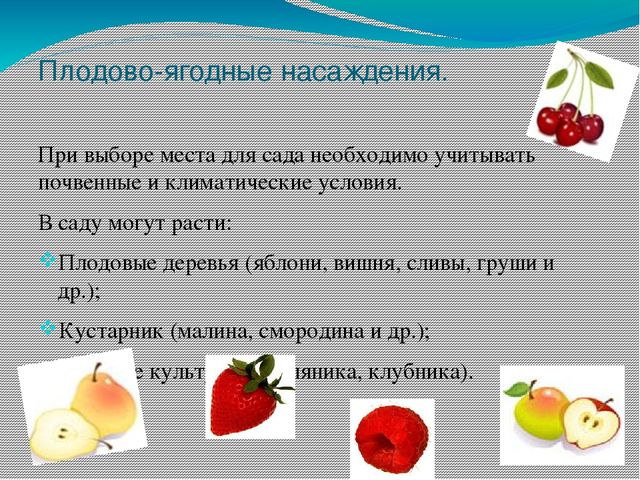 Презентация на тему "Участок для детского сада во всех возрастных группах"