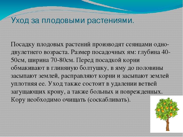 Презентация на тему "Участок для детского сада во всех возрастных группах"