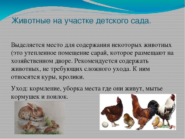 Презентация на тему "Участок для детского сада во всех возрастных группах"