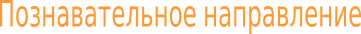 Shape1