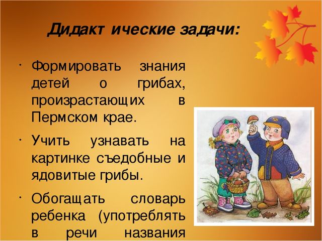 Авторская дидактическая игра «Мы в лесок пойдём, мы грибок найдём»