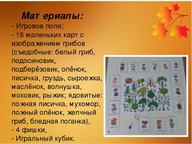 Авторская дидактическая игра «Мы в лесок пойдём, мы грибок найдём»