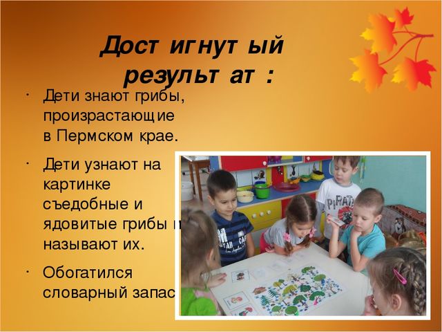 Авторская дидактическая игра «Мы в лесок пойдём, мы грибок найдём»