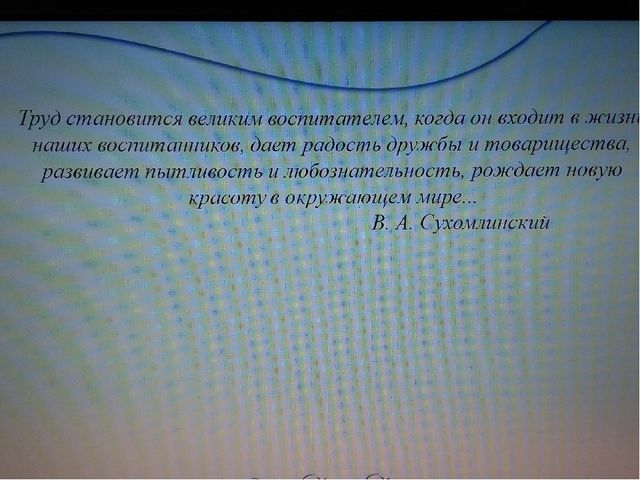 Презентация "Значение трудового воспитания в развитии личности дошкольников"
