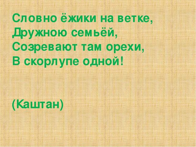 Презентация на тему "Деревья"(средняя группа)