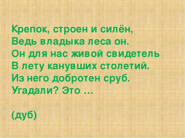 Презентация на тему "Деревья"(средняя группа)