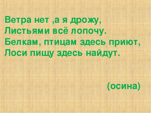 Презентация на тему "Деревья"(средняя группа)