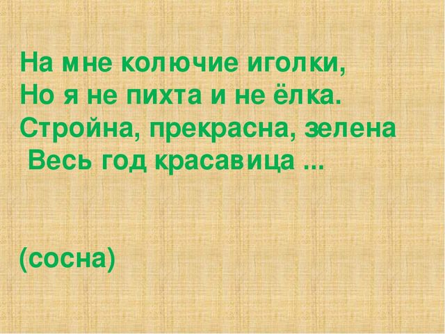 Презентация на тему "Деревья"(средняя группа)