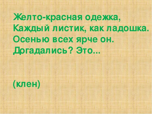 Презентация на тему "Деревья"(средняя группа)