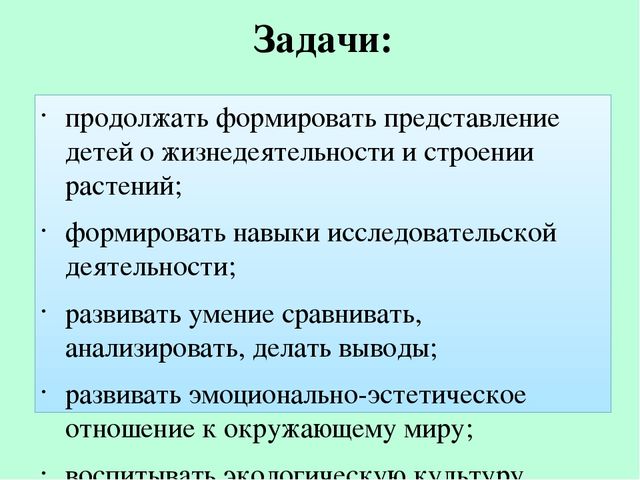 Презентация по экологическому воспитанию "Полянка Светлячок"