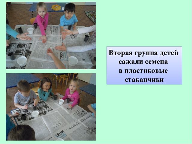 Презентация по экологическому воспитанию "Полянка Светлячок"