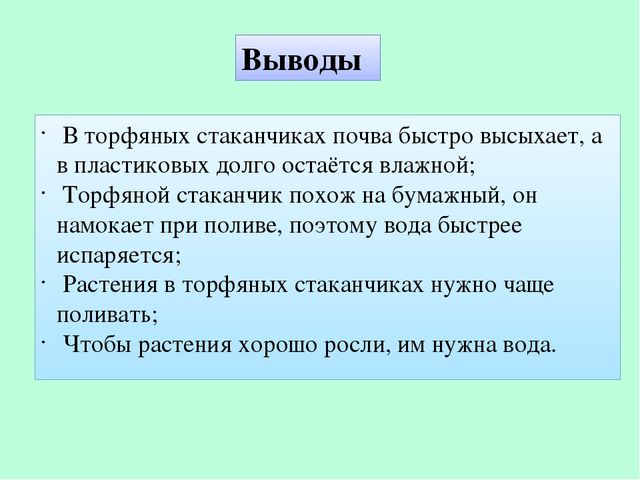 Презентация по экологическому воспитанию "Полянка Светлячок"