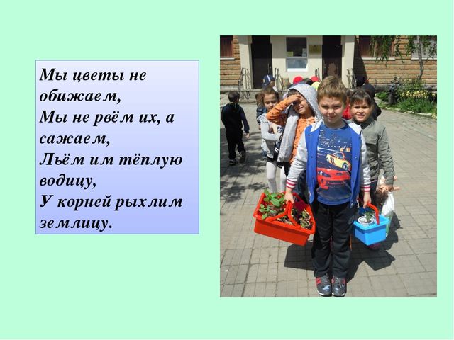 Презентация по экологическому воспитанию "Полянка Светлячок"