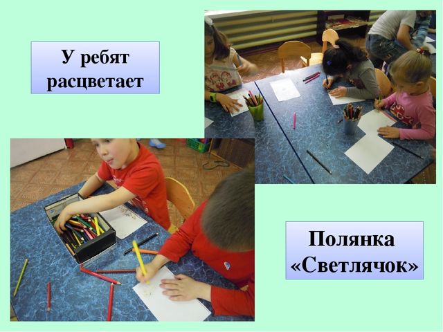 Презентация по экологическому воспитанию "Полянка Светлячок"