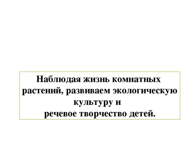 Презентация по экологическому воспитанию в ДОУ "Комнатные растения"